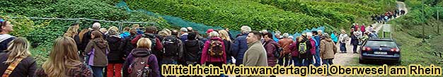 Mittelrhein-Weinwandertag bei Oberwesel am Rhein